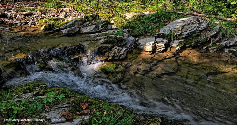 e77cea_89682de350ea4ad68fe97e22fb303d4a~mv2